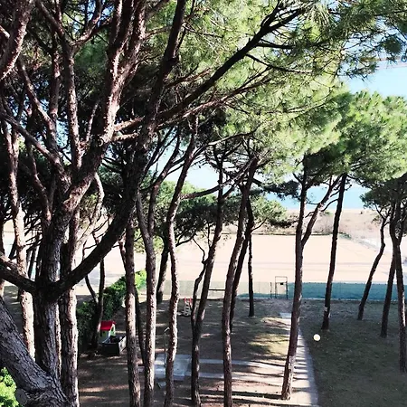 In 24800 * Lido di Jesolo